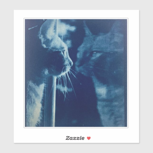 whimsical Blue Bubba Cat Fotografie Aufkleber (Blatt)