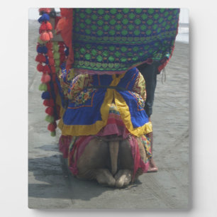 Whimsical Camel Art Print/Graphic Fotoplatte