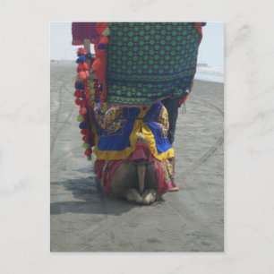 Whimsical Camel Art Print/Graphic Postkarte