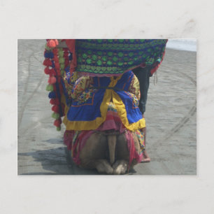 Whimsical Camel Art Print/Graphic Postkarte