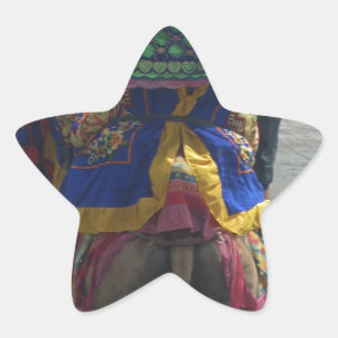 Whimsical Camel Art Print/Graphic Stern-Aufkleber