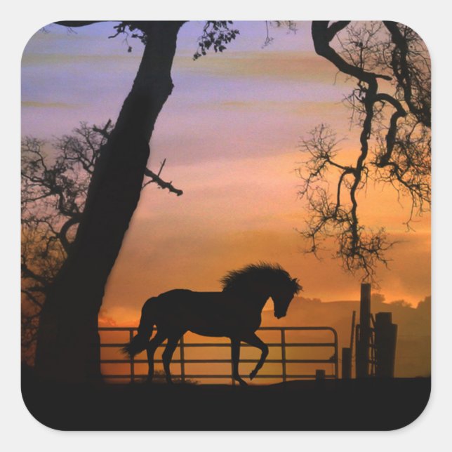 Whimsical Country Horse Stickers (Vorderseite)