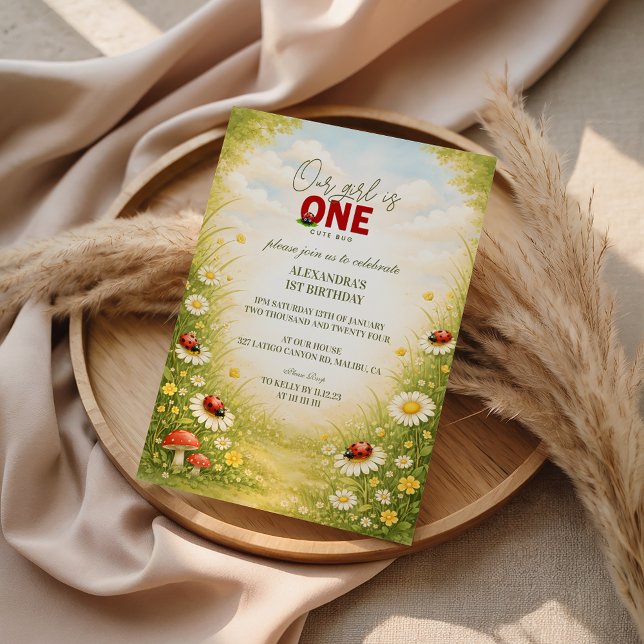 Whimsical Garden Lady Bug 1st Birthday Einladung (Von Creator hochgeladen)
