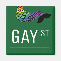 Whimsical Gay Street Sign Pride Quees LGBTIQ Party