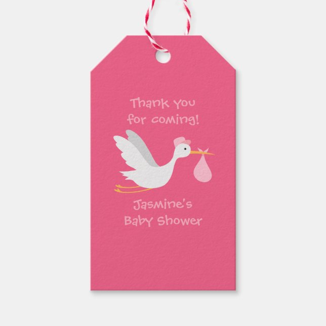 Whimsical Girl Stork Baby Dusche Geschenkanhänger (Vorderseite)