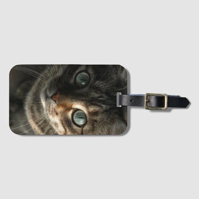 Whimsical Gray Cat Portrait Wall Art Gepäckanhänger (Vorderseite (Horizontal))