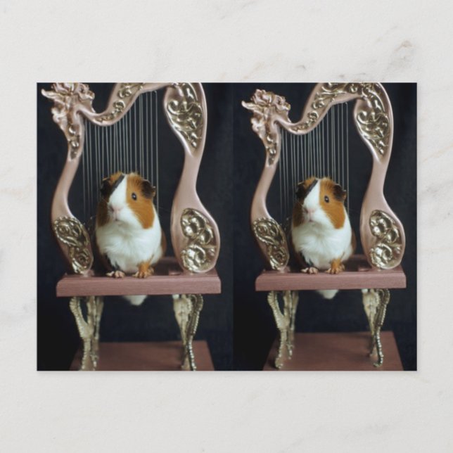 Whimsical Guinea Pig Harp Postcard – Elegant Story Postkarte (Vorderseite)