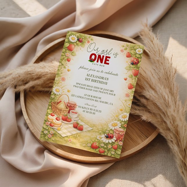 Whimsical Meadow Lady Bug 1st Birthday Einladung (Von Creator hochgeladen)