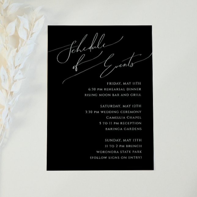 Whimsical Minimal Script Black Schedule of Events Begleitkarte (Von Creator hochgeladen)