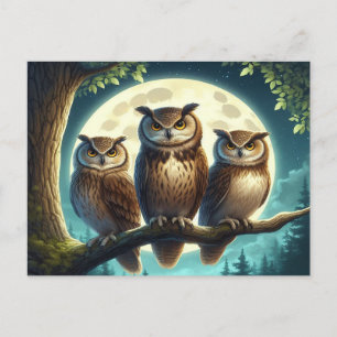 Whimsical Owl Trio Postkarte