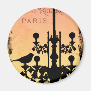 *WHiMSiCaL Paris MaGNeT* Magnet