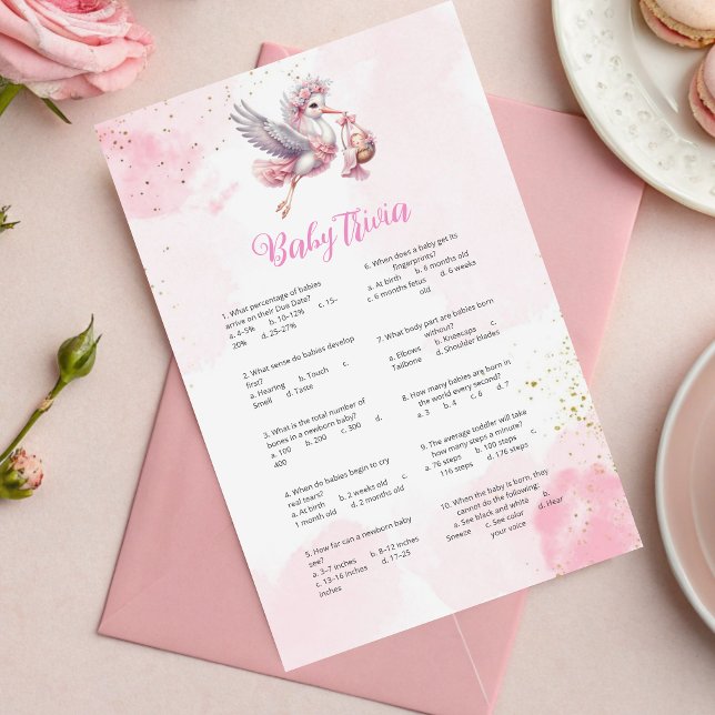 Whimsical Pink Stork Baby Dusche Trivia Spiel (Von Creator hochgeladen)