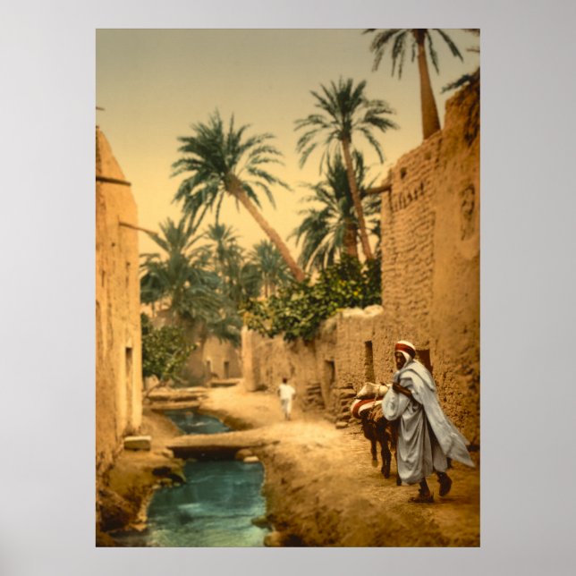 Whimsical Rendition von Biskra Algeria Poster (Vorne)