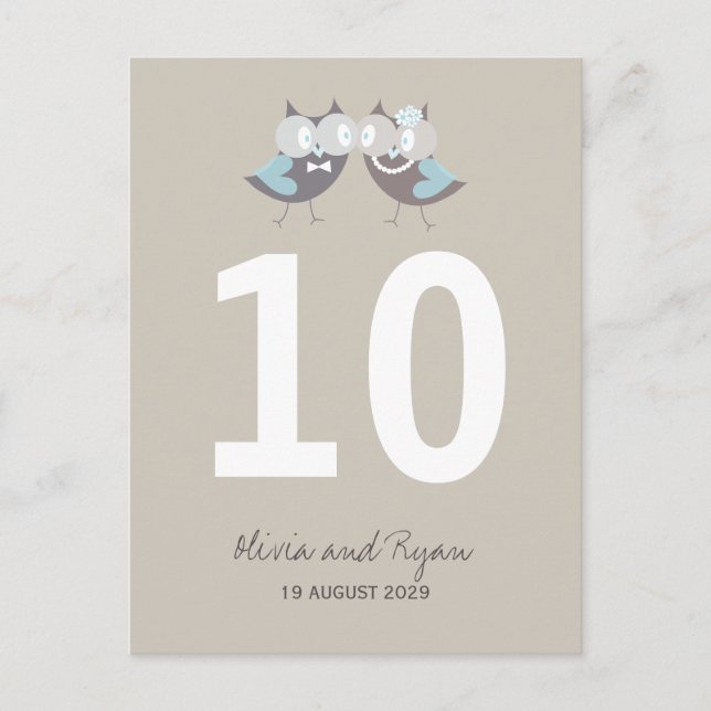 Whimsical Wedding Brown Blue Owls Tischnummer (Vorderseite)