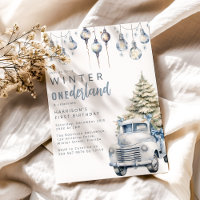 Whimsical Winter Onederland Erste Geburtstagsparty