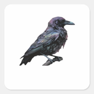 Whimsigoth Moody Floral Grungy Corvus, Raven, Crow Quadratischer Aufkleber