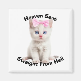 Whimsikkatze Magnet