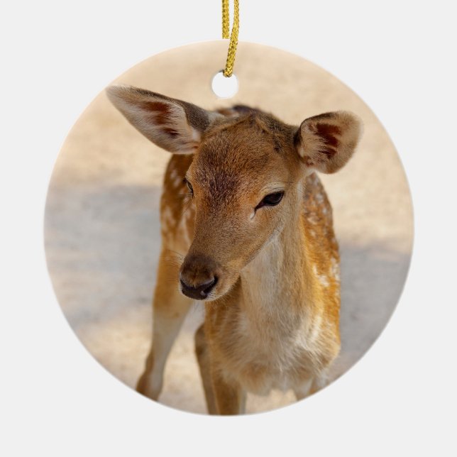 Whimsische Waldhirsch-Fotografie Keramik Ornament (Vorne)