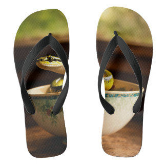 Whimsischer Slippers: Treten Sie mit Fantasy ein Flip Flops