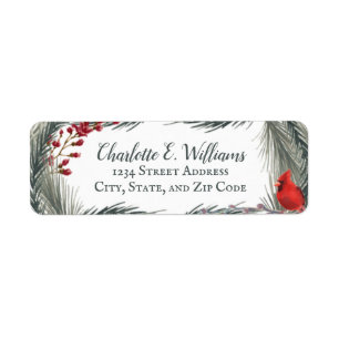 Whimsischer Winter-Kardinal