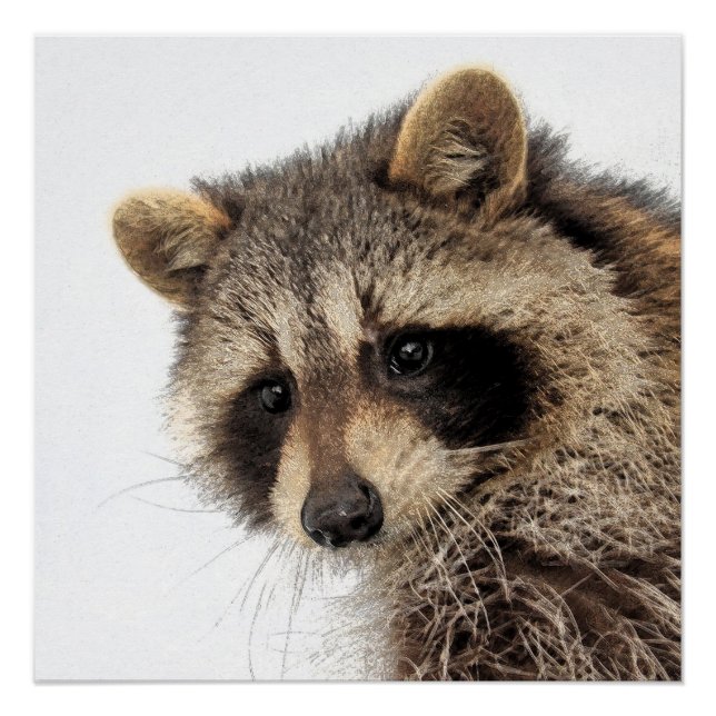 Whimsisches Raccoon Glossy Poster (Vorderseite)