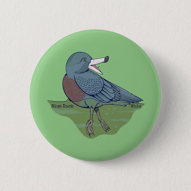 Whio Blue Duck NZ BIRD Button (Vorderseite)