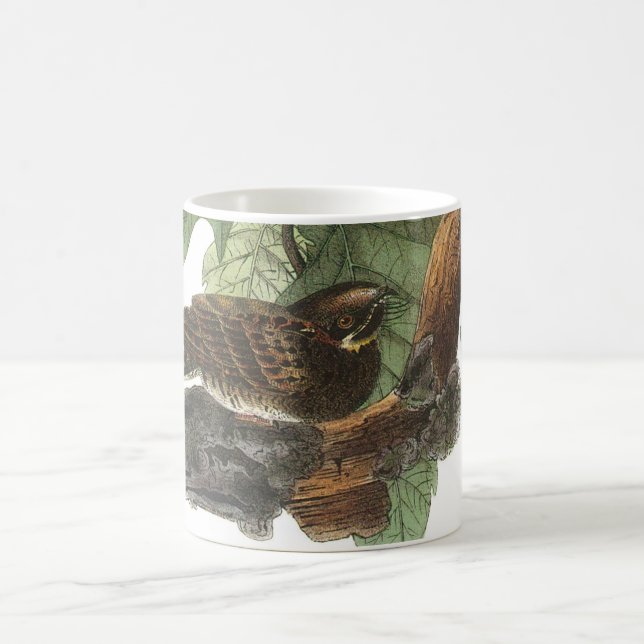 Whip-poor-will von Audubon Kaffeetasse (Mittel)