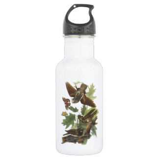 Whip-poor-will von Audubon Trinkflasche