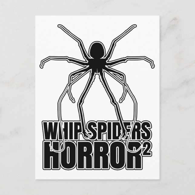 Whip Spiders Whip Scorpion Amblypygi - Entomologie Postkarte (Vorderseite)
