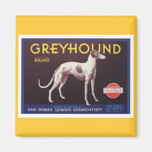 Whiphound-Fruchtkisten-Etikett Magnet