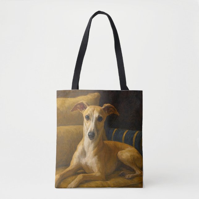 Whippet (Vorderseite)