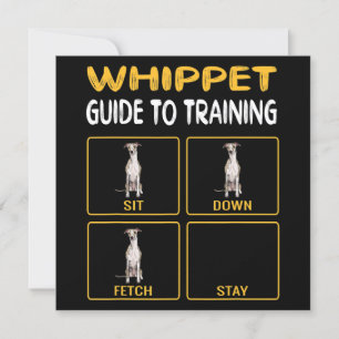 Whippet-Anleitung zum Training des Hundegehorsams Einladung