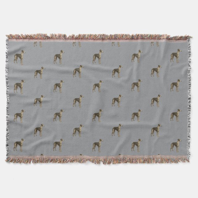 Whippet blanket - Whippet against grey background Decke (Vorderseite)