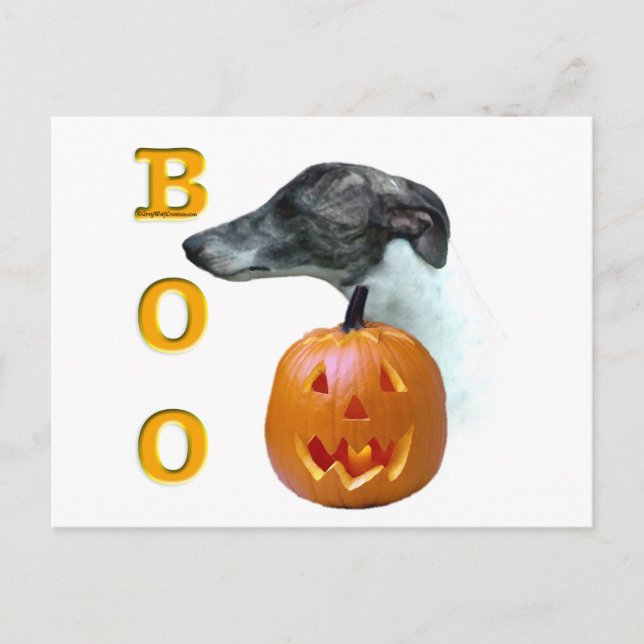 Whippet Boo Postkarte (Vorderseite)
