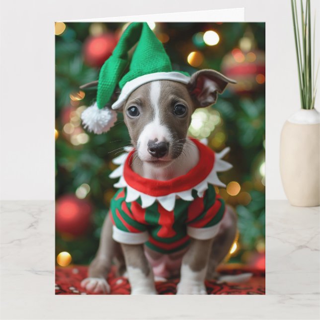 Whippet Elf Puppy Christmas Card Karte (Vorderseite)