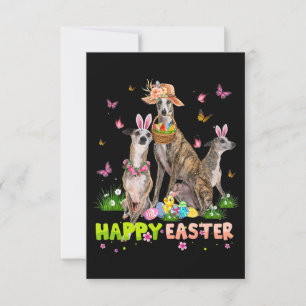 Whippet Fröhliche Ostern Hase Eier Ostergeschenk K Einladung