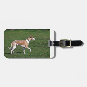 whippet-full.png gepäckanhänger