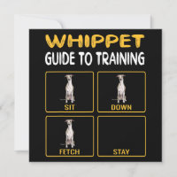 Whippet Guide to Training Hunde Obedience