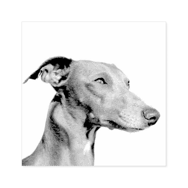 Whippet Gummistempel (Prägung)