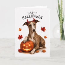 Whippet Halloween Teufelshund