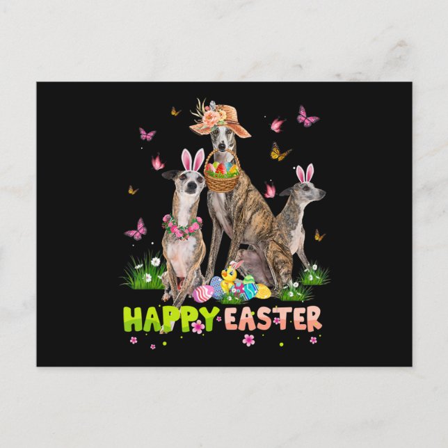 Whippet Happy Oster Bunny Egg Ostern Geschenk Kind Postkarte (Vorderseite)