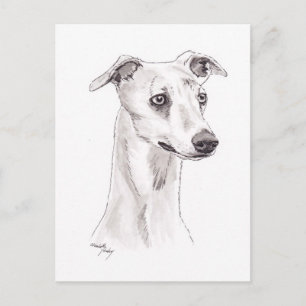 Whippet Hund Art Postkarte
