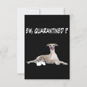 Whippet Hund Ew isoliert Hund tragen eine Gesichts Dankeskarte