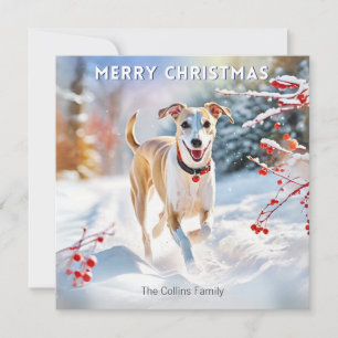 Whippet-Hund läuft im Schnee Frohe Weihnachten