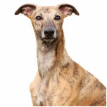 Whippet Hundeporträt-Fotoskulptur, Geschenk Freistehende Fotoskulptur<br><div class="desc">Schönes Porträt einer whippet HundeFotoskulptur.  große Geschenkidee für Hundeliebhaber</div>
