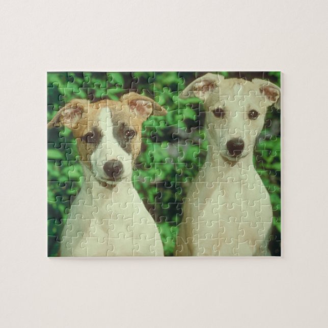Whippet Hundezinn und -puzzlespiel Puzzle (Horizontal)