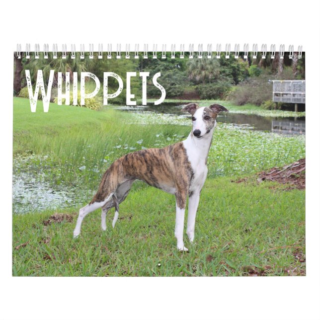 Whippet-Kalender Kalender (Titelbild)
