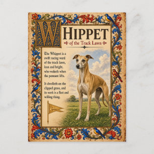 Whippet, mittelalterliche Bestiarien-Kunst Postkarte