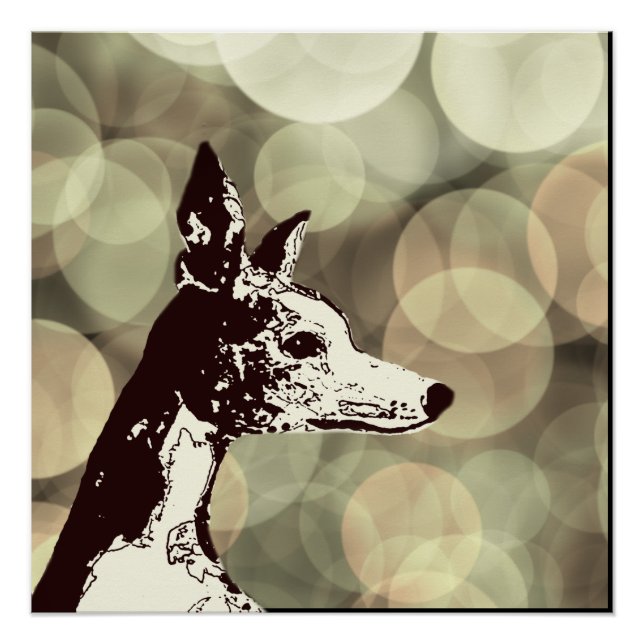 Whippet Poster (Vorderseite)