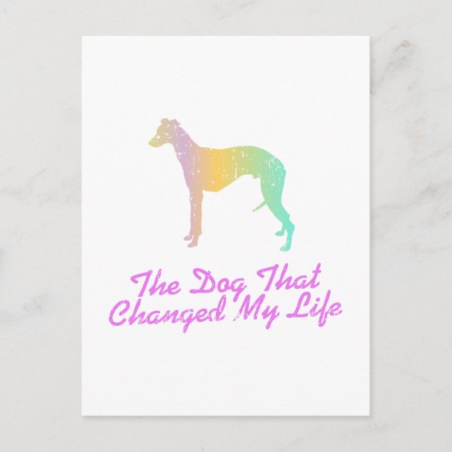 Whippet Postkarte (Vorderseite)